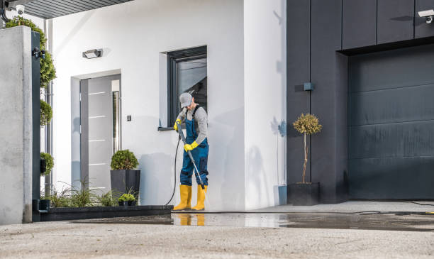 Best Building Exterior Washing  in Natchez, MS